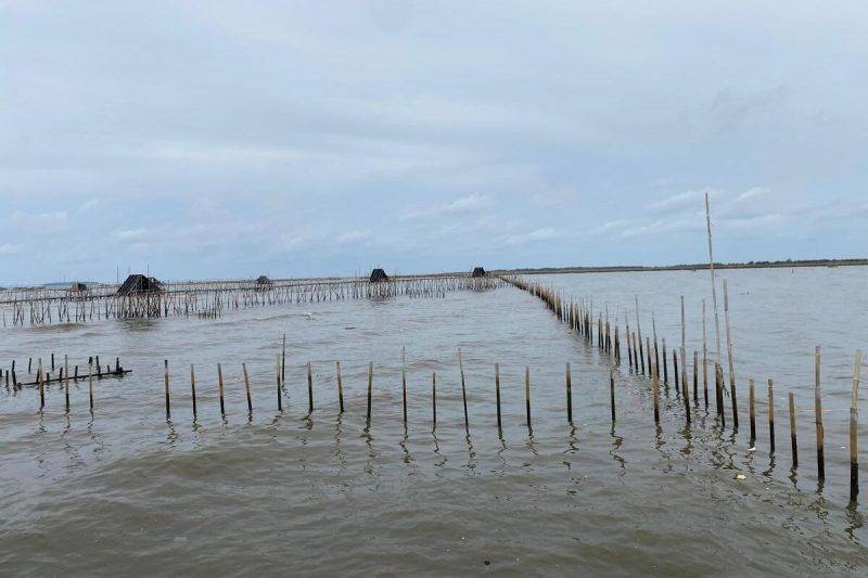 Pagar Misterius Dari Bambu di Kampung Kohot, Desa Pakuhaji, Kabupaten Tangerang
